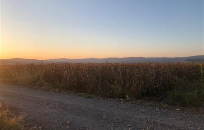C21 LOCA'DAN GÖKÇEYAZI ORTA MAH. 6709 M2 SU KENARI SATILIK TARLA