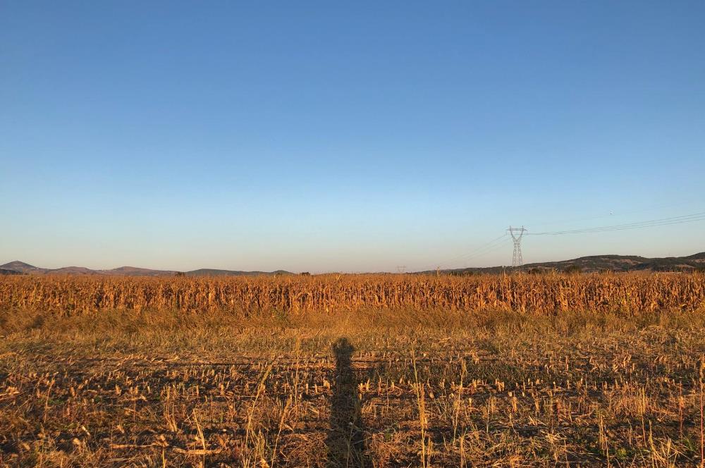 C21 LOCA'DAN GÖKÇEYAZI ORTA MAH. 6709 M2 SU KENARI SATILIK TARLA