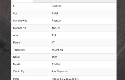 C21 Cius;Balıkesir Erdek Poyrazlıda