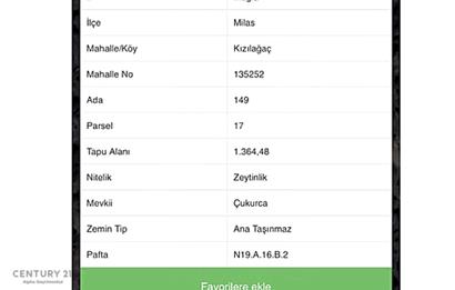 Muğla milas'ta yatırımlık zeytinlik 