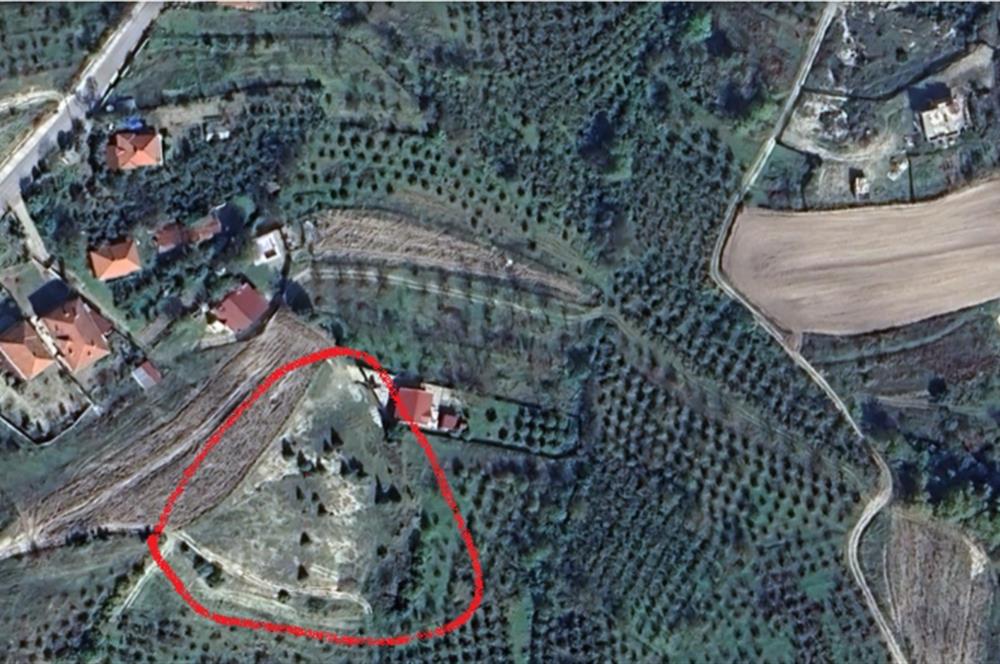 KOCAELİ KANDIRA YAĞCILAR MAH. KURTLU KUYU MEVKİİ SATILIK ARSA