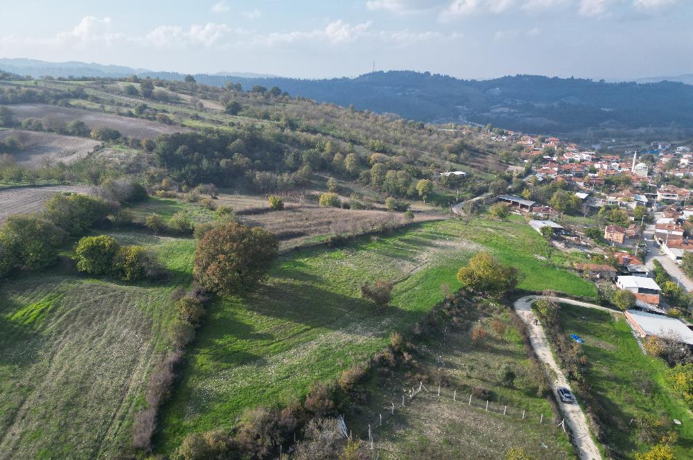 C21 BAL'DAN BALIKESİR CİNGE MH// ALT YAPISI OLAN// 1288 M² ARSA