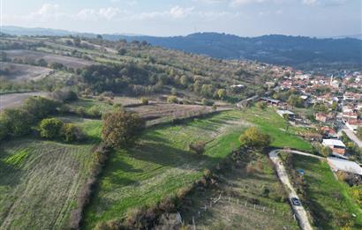 C21 BAL'DAN BALIKESİR CİNGE MH// ALT YAPISI OLAN// 1288 M² ARSA