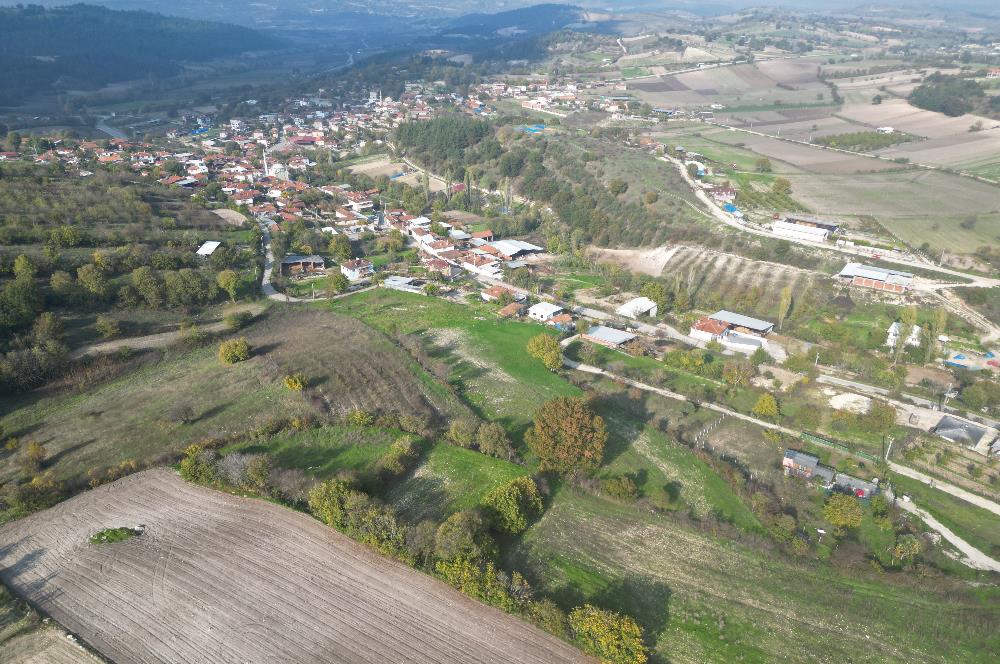 C21 BAL'DAN BALIKESİR CİNGE MH// ALT YAPISI OLAN// 1288 M² ARSA