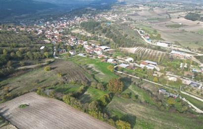 C21 BAL'DAN BALIKESİR CİNGE MH// ALT YAPISI OLAN// 1288 M² ARSA