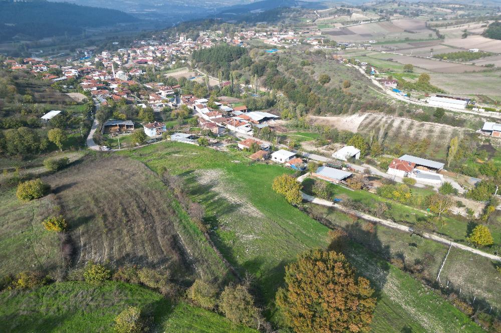 C21 BAL'DAN BALIKESİR CİNGE MH// ALT YAPISI OLAN// 1288 M² ARSA