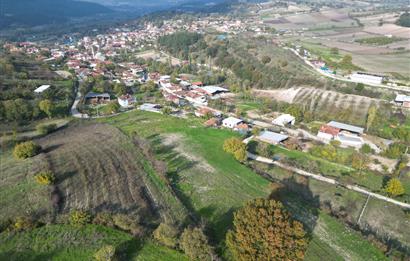 C21 BAL'DAN BALIKESİR CİNGE MH// ALT YAPISI OLAN// 1288 M² ARSA