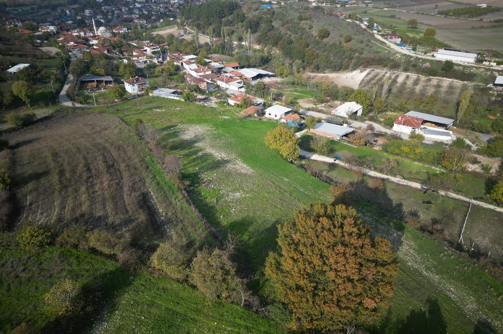 C21 BAL'DAN BALIKESİR CİNGE MH// ALT YAPISI OLAN// 1288 M² ARSA