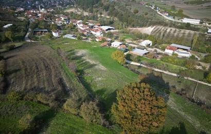 C21 BAL'DAN BALIKESİR CİNGE MH// ALT YAPISI OLAN// 1288 M² ARSA