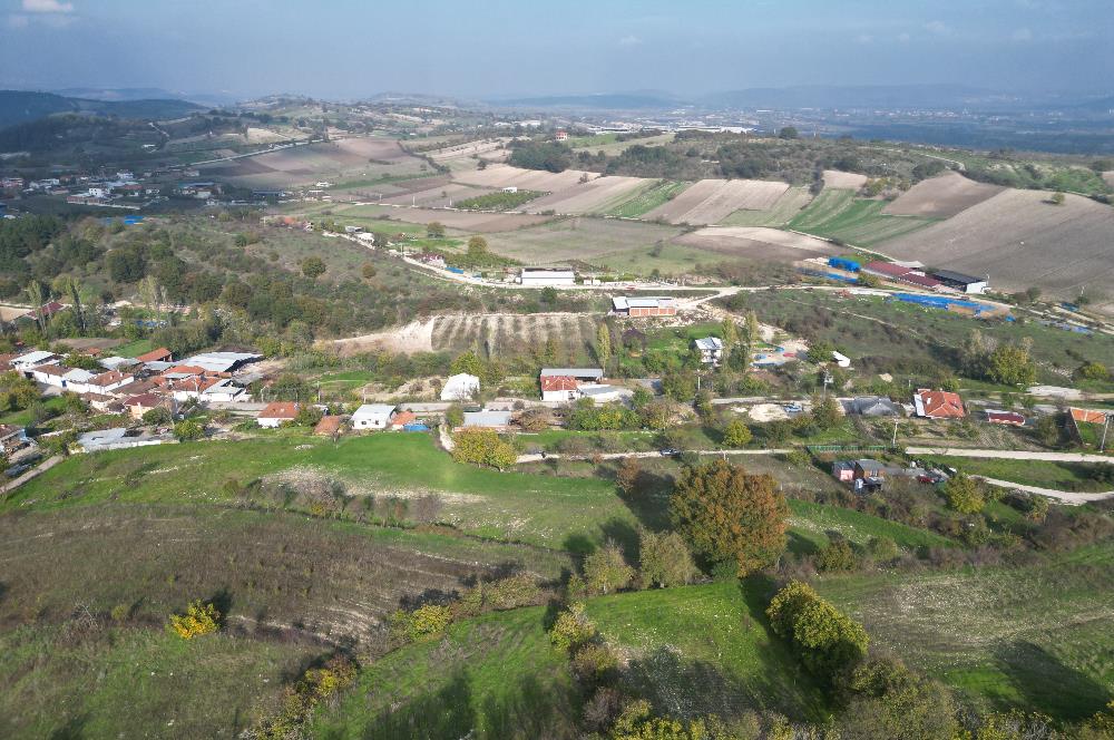 C21 BAL'DAN BALIKESİR CİNGE MH// ALT YAPISI OLAN// 1288 M² ARSA