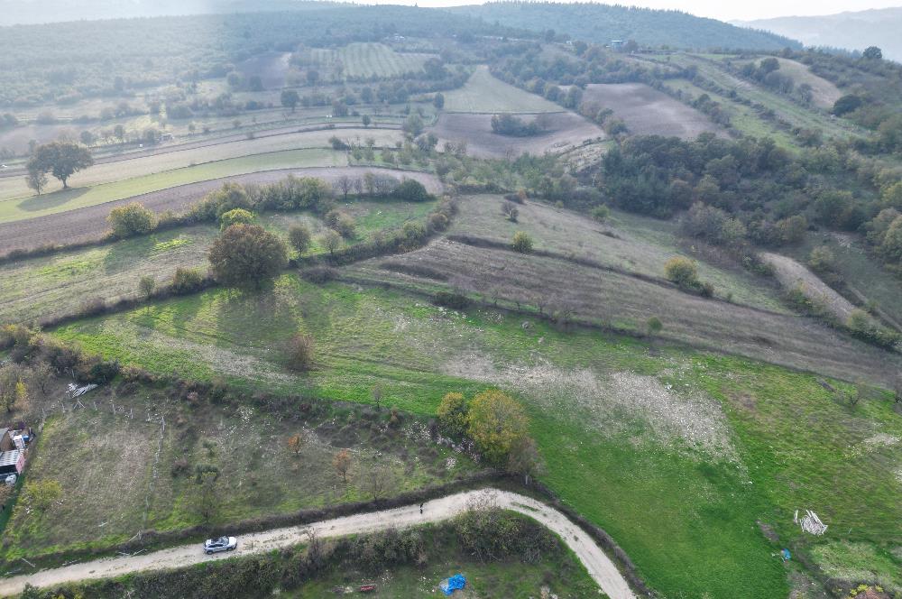 C21 BAL'DAN BALIKESİR CİNGE MH// ALT YAPISI OLAN// 1288 M² ARSA