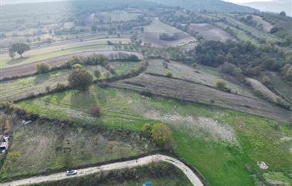 C21 BAL'DAN BALIKESİR CİNGE MH// ALT YAPISI OLAN// 1288 M² ARSA