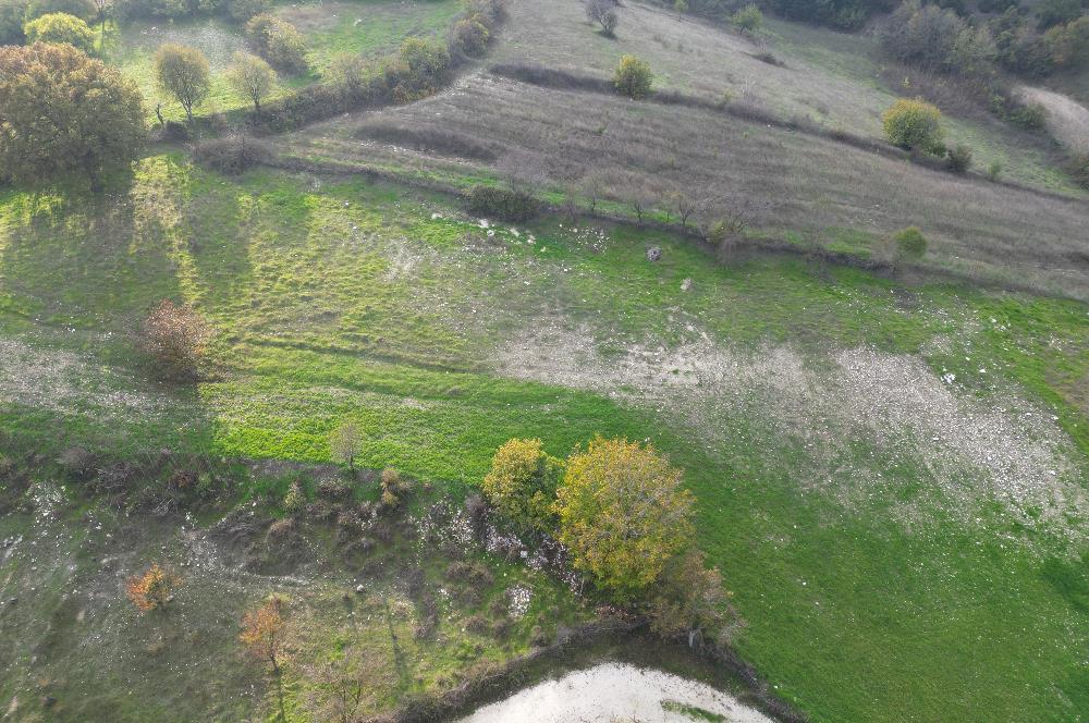 C21 BAL'DAN BALIKESİR CİNGE MH// ALT YAPISI OLAN// 1288 M² ARSA