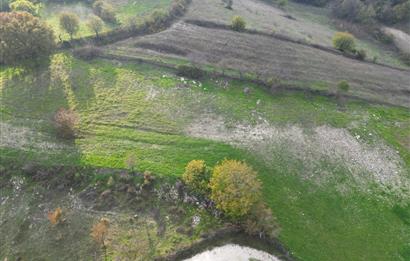 C21 BAL'DAN BALIKESİR CİNGE MH// ALT YAPISI OLAN// 1288 M² ARSA