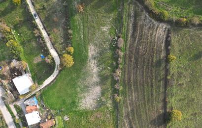 C21 BAL'DAN BALIKESİR CİNGE MH// ALT YAPISI OLAN// 1288 M² ARSA