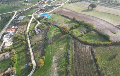 C21 BAL'DAN BALIKESİR CİNGE MH// ALT YAPISI OLAN// 1288 M² ARSA