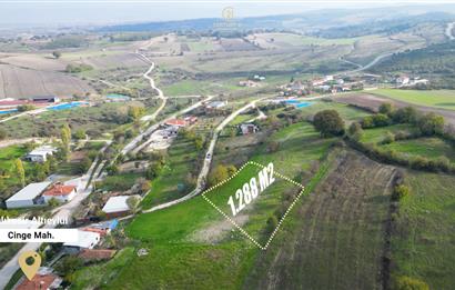 C21 BAL'DAN BALIKESİR CİNGE MH// ALT YAPISI OLAN// 1288 M² ARSA