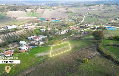 C21 BAL'DAN BALIKESİR CİNGE MH// ALT YAPISI OLAN// 1288 M² ARSA