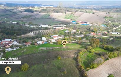 C21 BAL'DAN BALIKESİR CİNGE MH// ALT YAPISI OLAN// 1288 M² ARSA