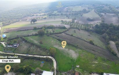 C21 BAL'DAN BALIKESİR CİNGE MH// ALT YAPISI OLAN// 1288 M² ARSA