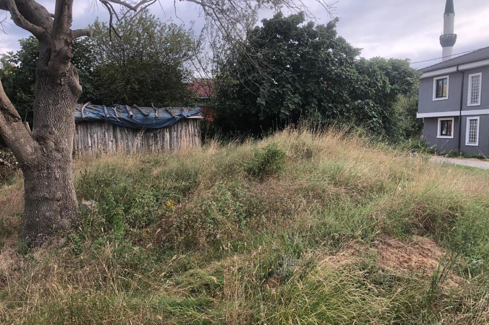 ŞİLEDE KAÇIRILMAYACAK FIRSAT! %35 İMARLI, 361 M² ARSA SATILIK