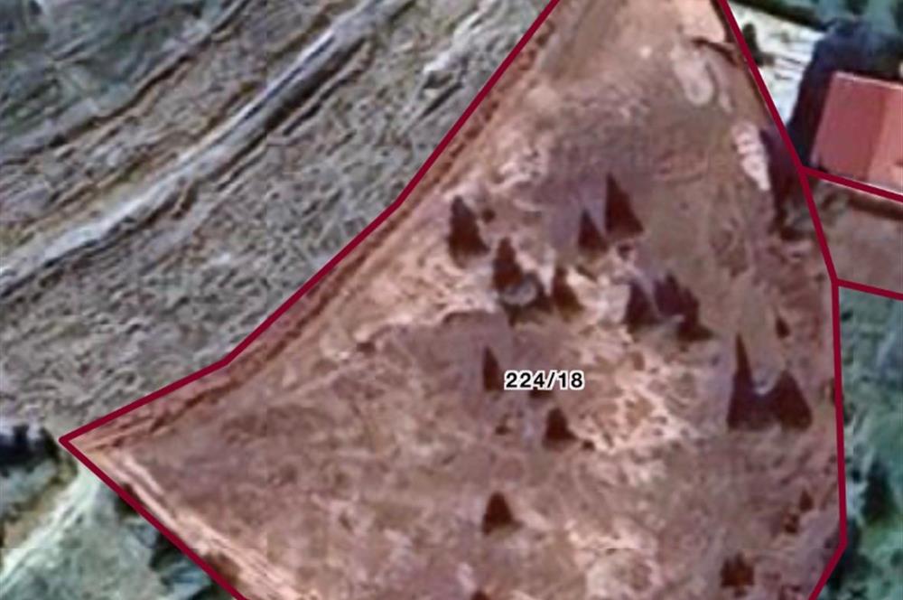 KOCAELİ KANDIRA YAĞCILAR MAH. KURTLU KUYU MEVKİİ SATILIK ARSA