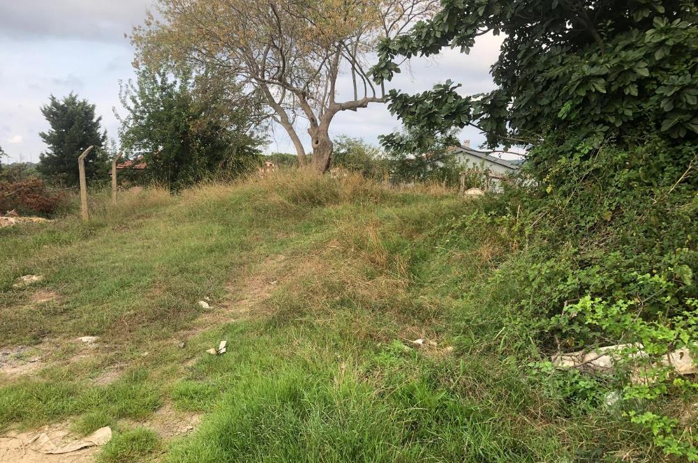 ŞİLEDE KAÇIRILMAYACAK FIRSAT! %35 İMARLI, 361 M² ARSA SATILIK