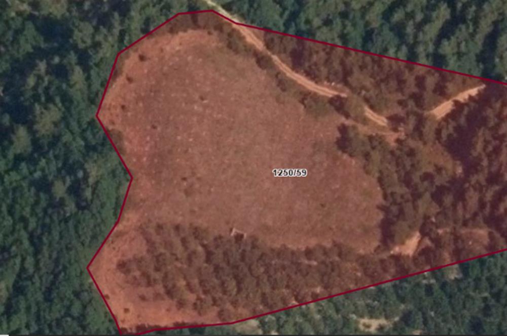 SATILIK TARLA İZNİK BARAJI MANZARALI GELİŞMEKTE OLAN BÖLGEDE YATIRIM FIRSATI