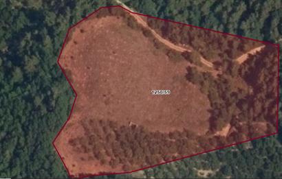 SATILIK TARLA İZNİK BARAJI MANZARALI GELİŞMEKTE OLAN BÖLGEDE YATIRIM FIRSATI