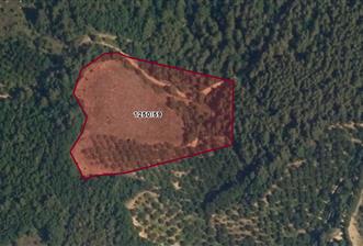 SATILIK TARLA İZNİK BARAJI MANZARALI GELİŞMEKTE OLAN BÖLGEDE YATIRIM FIRSATI - 1 - 30133