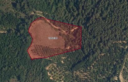 SATILIK TARLA İZNİK BARAJI MANZARALI GELİŞMEKTE OLAN BÖLGEDE YATIRIM FIRSATI