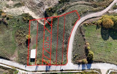 C21 Cius; Hamidiye Köyünde Satılık Yola Cepheli Tarla