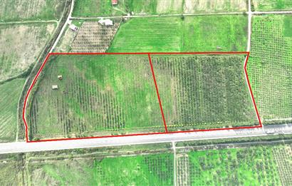 Dikili Salihler Çanakkale Yolu üstü mükemmel konumda tarla