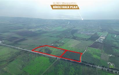 Dikili Salihler Çanakkale Yolu üstü mükemmel konumda tarla