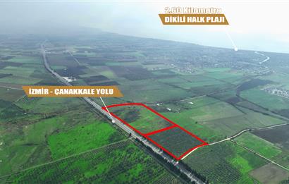 Dikili Salihler Çanakkale Yolu üstü mükemmel konumda tarla