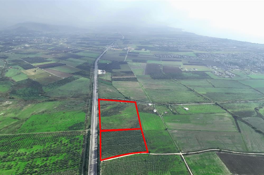 Dikili Salihler Çanakkale Yolu üstü mükemmel konumda tarla