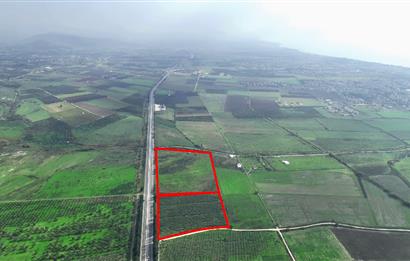 Dikili Salihler Çanakkale Yolu üstü mükemmel konumda tarla