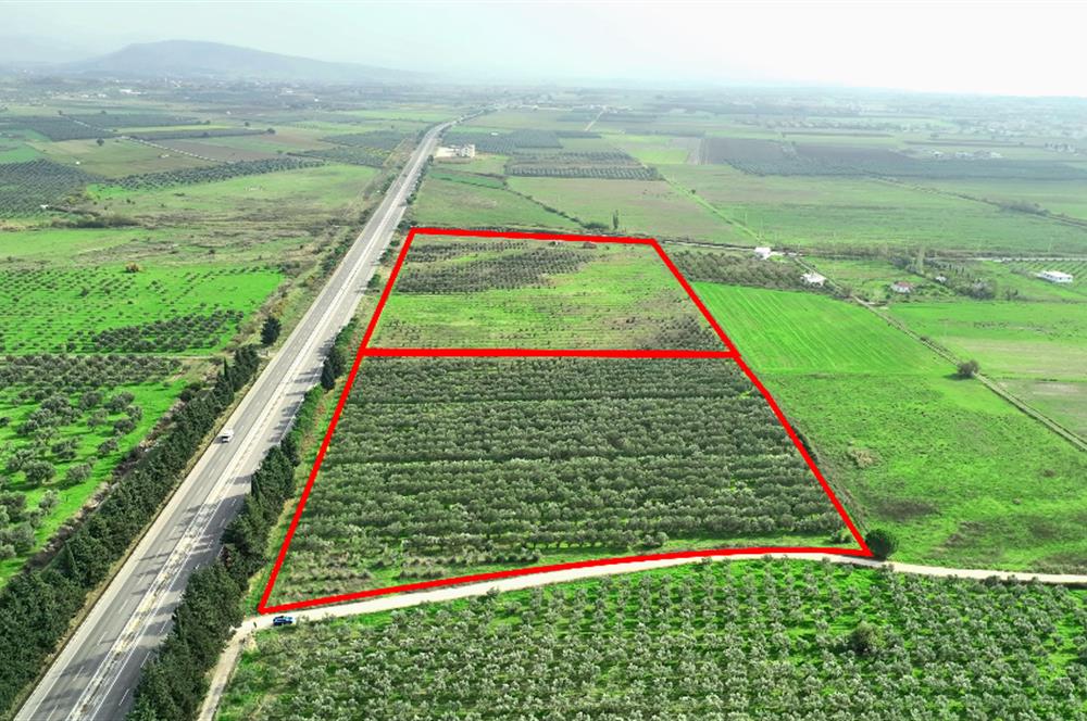 Dikili Salihler Çanakkale Yolu üstü mükemmel konumda tarla