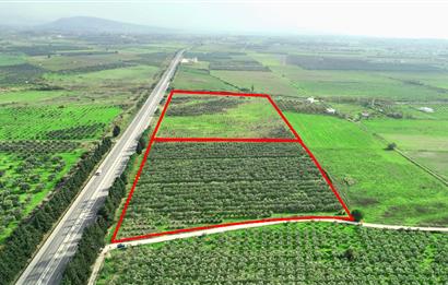 Dikili Salihler Çanakkale Yolu üstü mükemmel konumda tarla