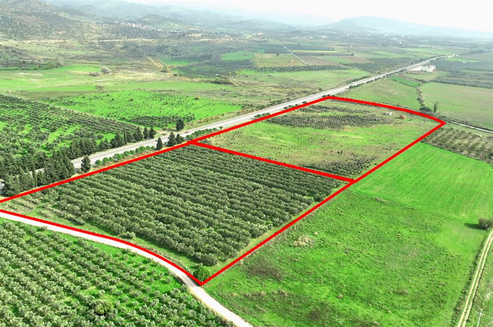 Dikili Salihler Çanakkale Yolu üstü mükemmel konumda tarla