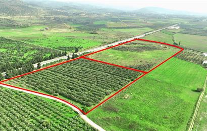 Dikili Salihler Çanakkale Yolu üstü mükemmel konumda tarla
