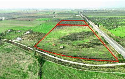 Dikili Salihler Çanakkale Yolu üstü mükemmel konumda tarla