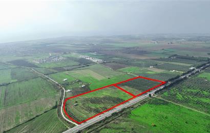 Dikili Salihler Çanakkale Yolu üstü mükemmel konumda tarla