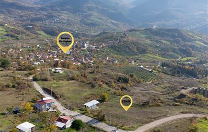 C21 Cius; Hamidiye Köyünde Satılık Yola Cepheli Tarla