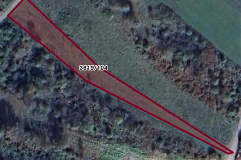 Şile / Göce satılık tarla