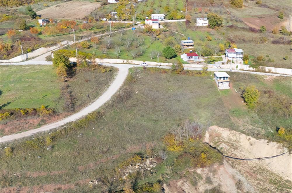 C21 Cius; Hamidiye Köyünde Satılık Yola Cepheli Tarla