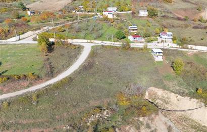 C21 Cius; Hamidiye Köyünde Satılık Yola Cepheli Tarla