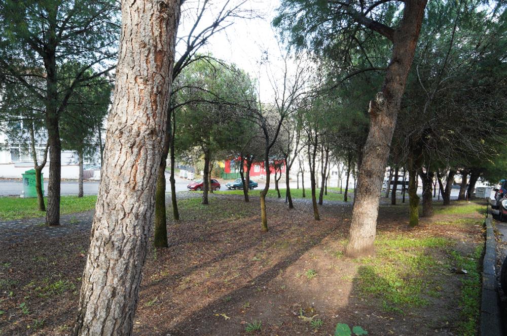 Century21 Bal'dan Toygar Mahallesinde Park Manzaralı Arakat Satılık 2+1 Daire