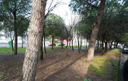 Century21 Bal'dan Toygar Mahallesinde Park Manzaralı Arakat Satılık 2+1 Daire