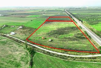 Dikili Salihler Çanakkale Yolu üstü mükemmel konumda tarla - 4 - 30136